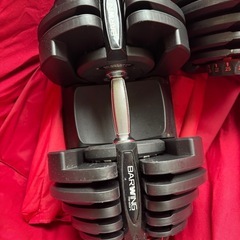 BARWING 可変式ダンベル 40kg2個セットの画像