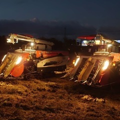 令和7年産新米10kgの画像