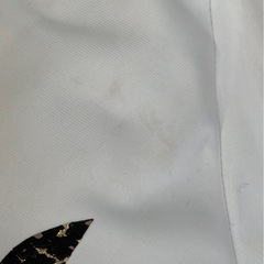 プレイボーイ　ジャージの画像