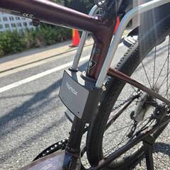 hamax ハマックス カレス 自転車用チャイルドシート 絶版パープル！の画像