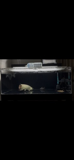 アクリル水槽1200×600×450 (まつごろう) 宇多津のその他の中古あげます