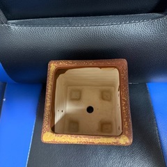 おしゃれ鉢の画像