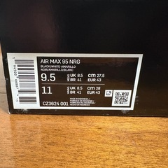 エアマックス95 レブロン・ジェームズの画像