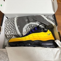 エアマックス95 レブロン・ジェームズの画像