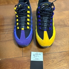 エアマックス95 レブロン・ジェームズの画像