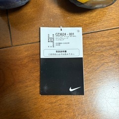 エアマックス95 レブロン・ジェームズの画像