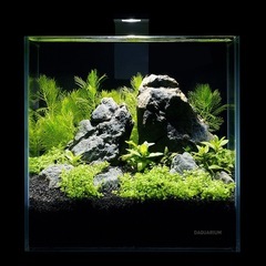 水槽　アクアリウム　ウクライナ製　COLLAR社　Lumi Set 5L×47個の画像