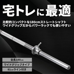 【川崎市幸区】IROTEC バーベルセット合計100kg（プレート90kg+シャフト）引取限定の画像