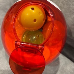 金のエンゼル キョロガチャの画像