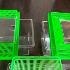 虫取りかご3個セットの画像