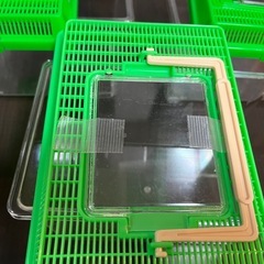 虫取りかご3個セットの画像