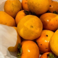 柿とみかんセットの画像