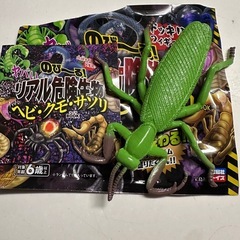 宝島社　リアル危険生物（ヘビ・クモ・サソリ）　カマキリ(シークレット)の画像