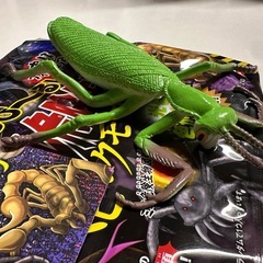 宝島社　リアル危険生物（ヘビ・クモ・サソリ）　カマキリ(シークレット)の画像