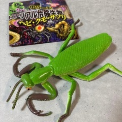 宝島社　リアル危険生物（ヘビ・クモ・サソリ）　カマキリ(シークレット)の画像