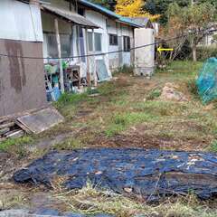 仮設トイレ　洋式　水洗タイプの画像