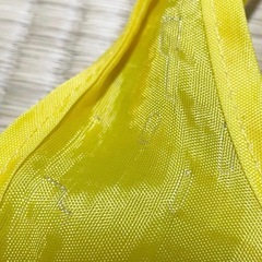 ディズニーランド 限定 バッグ 2点セットの画像