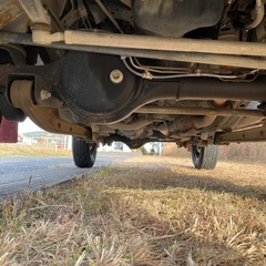 平成26年車  5MT  ジムニーの画像