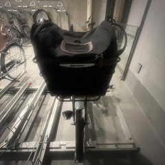 ※取引中※【ペット自転車】ペットが乗せられる電動自転車【ペットポーターアシスト】の画像