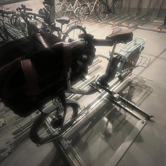 ※取引中※【ペット自転車】ペットが乗せられる電動自転車【ペットポーターアシスト】の画像