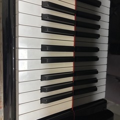 ピアノ教室生徒募集♬の画像