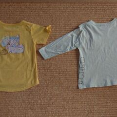 すみっコぐらしの服の画像