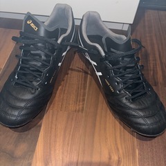 アシックス DS LIGHT X-FLY 5の画像