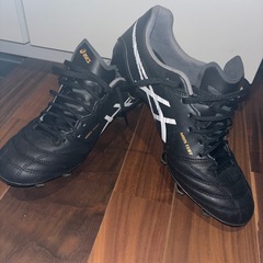 アシックス DS LIGHT X-FLY 5の画像