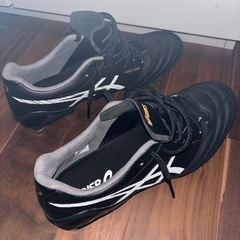 アシックス DS LIGHT X-FLY 5の画像