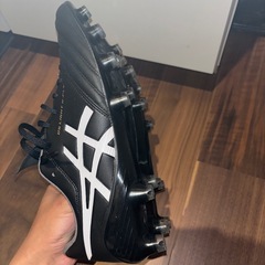 アシックス DS LIGHT X-FLY 5の画像