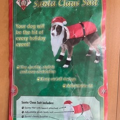 ワンコのサンタ衣装の画像