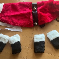 ワンコのサンタ衣装の画像