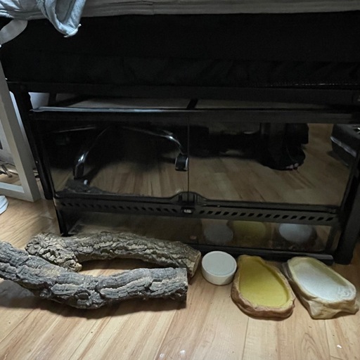 爬虫類飼育セット グラステラリウム6030+流木+食器類付き