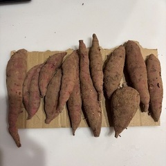 さつまいも　紅はるか　約1kgの画像
