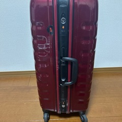 イオン  TOPVALU スーツケースの画像
