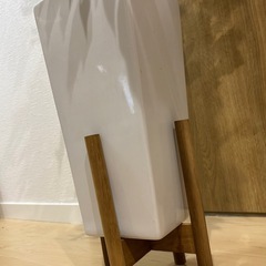 フェイクグリーンの観葉植物
の画像