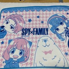 SPYFAMLYの毛布の画像