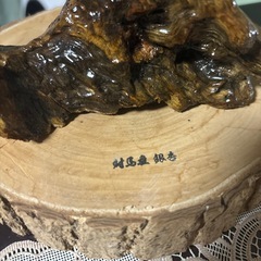 流木　オブジェの画像