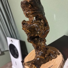 流木　オブジェの画像