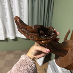 インテリア　流木の画像