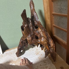 流木　置物の画像