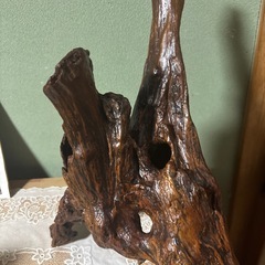 流木　置物の画像