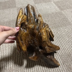 流木　オブジェ　置物の画像