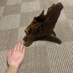 流木　オブジェ　置物の画像