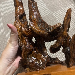 流木　インテリアの画像