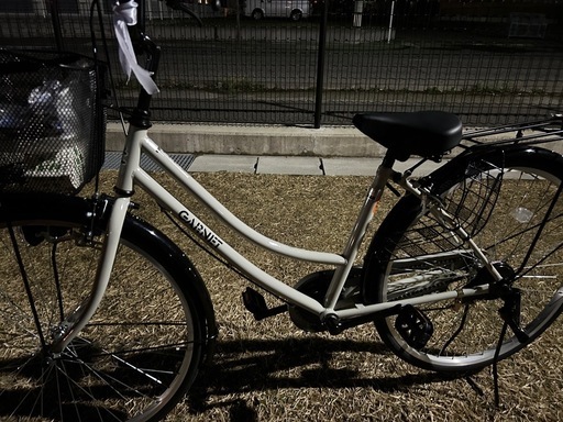 24インチ　自転車 今年購入