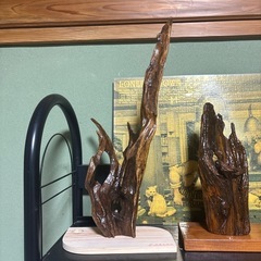 流木　オブジェの画像