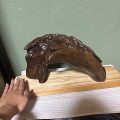 流木　置物　の画像