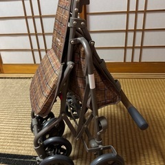 【美品/ほぼ未使用】歩行器 (軽量・折りたたみ可能)の画像