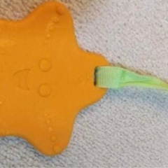 ジャンパルー　ニモ　ディズニー　　の画像